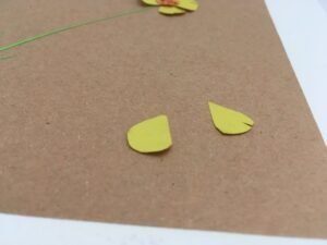herbier en papier pétales bouton d'or