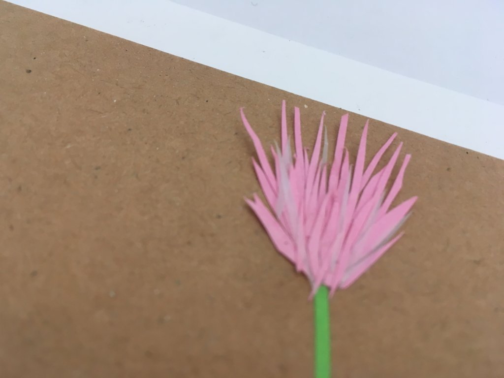 herbier en papier fleur de trèfle