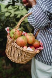 pommes du jardin